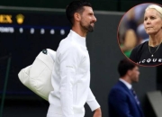 德约科维奇遭遇十五持续失利，雄鹿教练压力巨大！的简单介绍